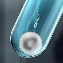 2026年揭秘无结婚证去丽水做三代试管的成功率有多少？费用贵吗？