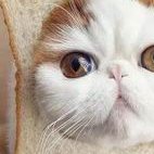 长沙第三代试管婴儿机构已公布，优秀医院PK