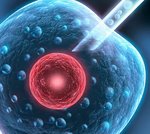 武汉第三代试管助孕生子价格是多少钱？第三代试管助孕吗？